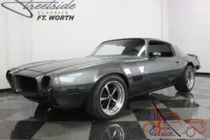 1973 Pontiac Firebird Photo