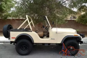1979 Jeep CJ JEEP CJ 5