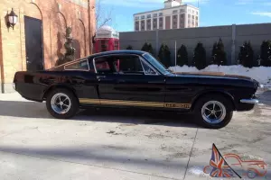 1966 hertz shelby