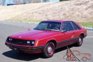 1981 Ford Other Pickups