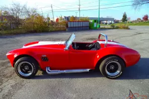 Shelby: cobra cobra shelby