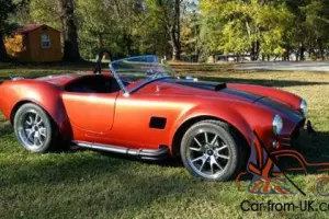 1965 Shelby COBRA Photo