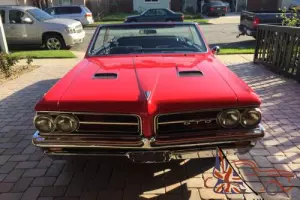 1964 Pontiac GTO Photo