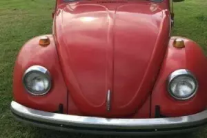 1969 Volkswagen Beetle - Classic Photo