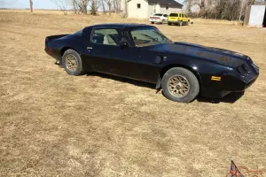 Pontiac : Trans Am special Edition Photo