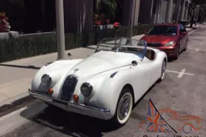 1979 Replica/Kit Makes