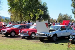Out of Storage !!!   Clean Alfetta GTV for Sale (Plus Parts) 