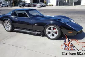 1979 Chevrolet Corvette CORVETTE ** NO RESERVE **