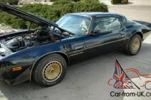 1981 Pontiac Trans Am Photo