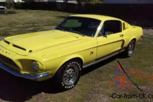 1968 Shelby Photo