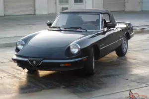 Spider Veloce