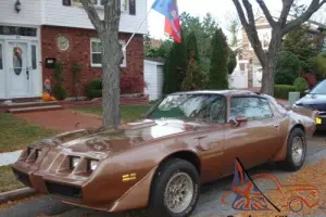 1981 Pontiac Trans Am
