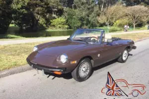 1981 Alfa Romeo Spider Photo