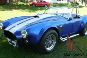1966 Shelby Cobra Photo