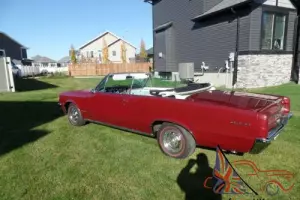 1964 Pontiac GTO