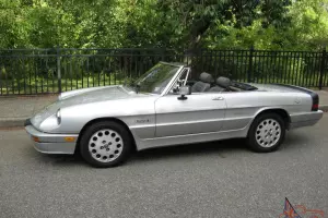 1986 Alfa Romeo Quadrifoglio Spider