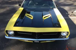 Plymouth : Barracuda Cuda