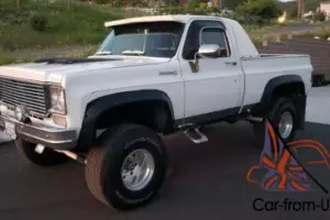 1975 Chevrolet Other Pickups