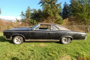 Pontiac : GTO Lemans Tempest GTO Chevelle