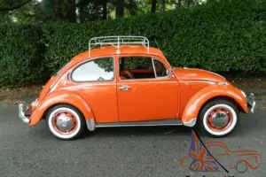 Volkswagen Beetle