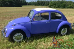 1967 Volkswagen Beetle - Classic