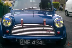  classic mini modified tax exempt 