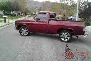 1984 Chevrolet Other Pickups