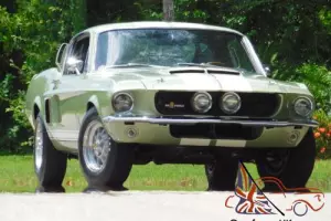 1967 Shelby GT350 Photo
