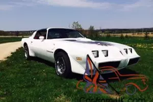 Fully restored 1979 Pontiac Trans Am      400ci   4-speed  T-tops Photo