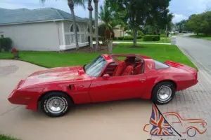 1981 Pontiac Trans Am TURBO Photo