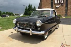 Second Owner, Black Beauty