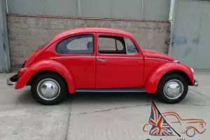 1969 Volkswagen Beetle - Classic