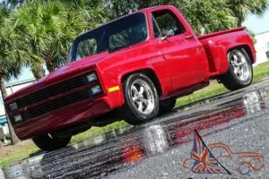 1978 Chevrolet Other Pickups