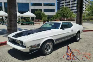 1973 Ford Mustang 1973 FORD MUSTANG MACH 1
