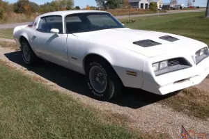 Pontiac : Firebird firebird