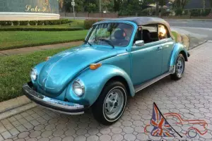 1979 Volkswagen Beetle-New Conv Photo