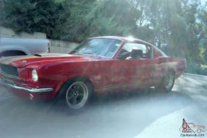 Shelby Gt-350R - Tribute/racer
