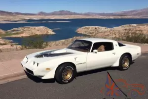 1979 Pontiac Trans Am Firebird Photo