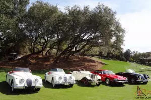1956 Jaguar XK 140 MC Roadster   XK140 Convertable   XK 140 SE