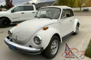 1977 Volkswagen Beetle - Classic