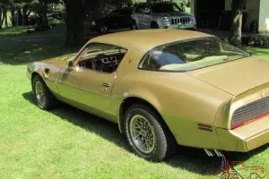 79 Pontiac Trans Am Gold Edition w/ SW6 Package No smoke. Garage Kept