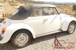 1980 Volkswagen Beetle - Classic