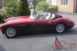  Austin Healey 3000 Sebring Replica Sx 