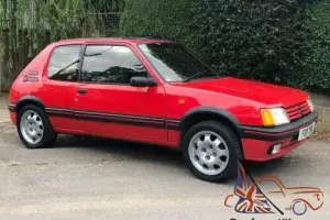 Peugeot 205 Gti 1.9 classic hot hatch vintage collectors old school red gti