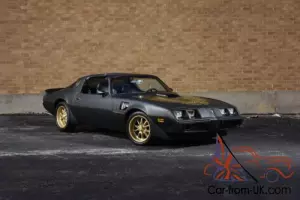 1981 Pontiac Firebird
