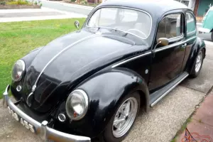  1954 Oval Beetle 