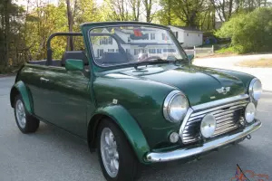 Cabriolet body with extras
