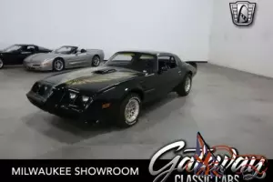 1981 Pontiac Firebird Trans-Am Photo