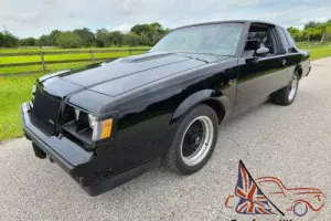 1987 Buick Regal Grand National