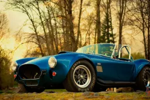 1965 Shelby Cobra  427  S/C  All Alloy Engine and Body CSX4000 Real!